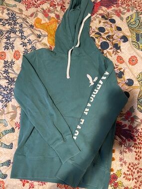 American Eagle Outfitters Teal Hoodie Sweatshirt